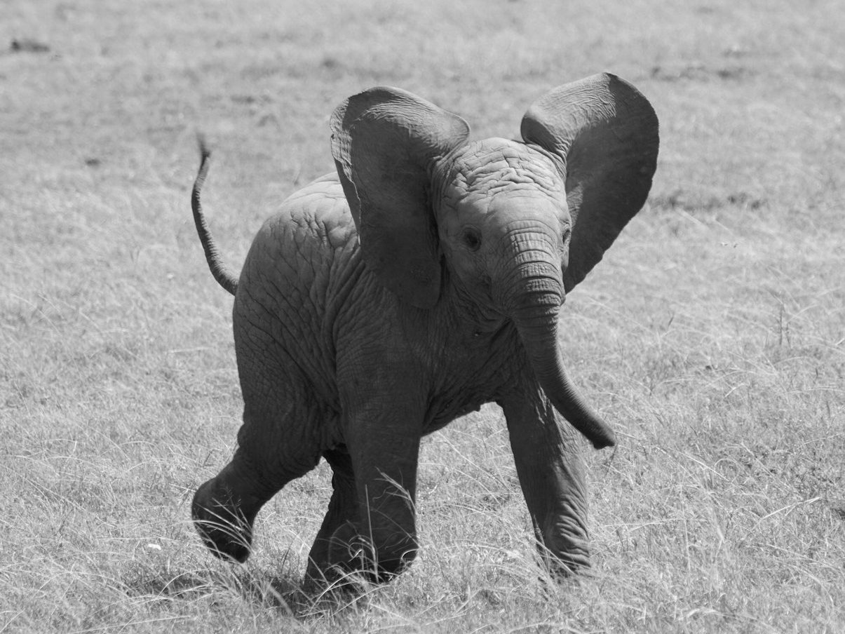 Kosten smart home, KNX und Gebäudeautomation Zusammensetzung der Kosten für smart home & Gebäudeautomation, aufgeteilt in Anfangsinvestitionen und langfristig geringere Betriebskosten.